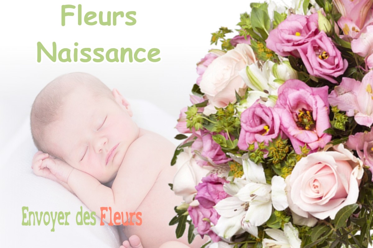 lIVRAISON FLEURS NAISSANCE à CESARVILLE-DOSSAINVILLE